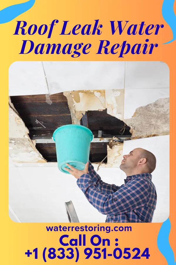 Roof Leak Water Damage Repair in Willow Springs, MO